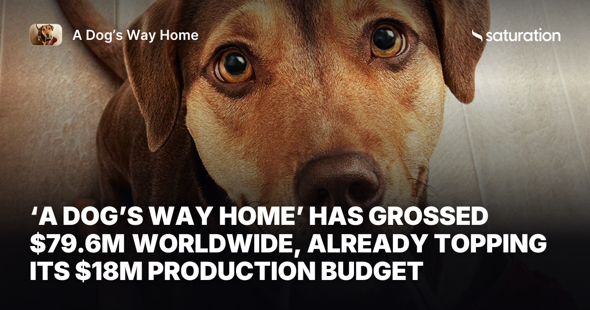A Dog’s Way Home share card