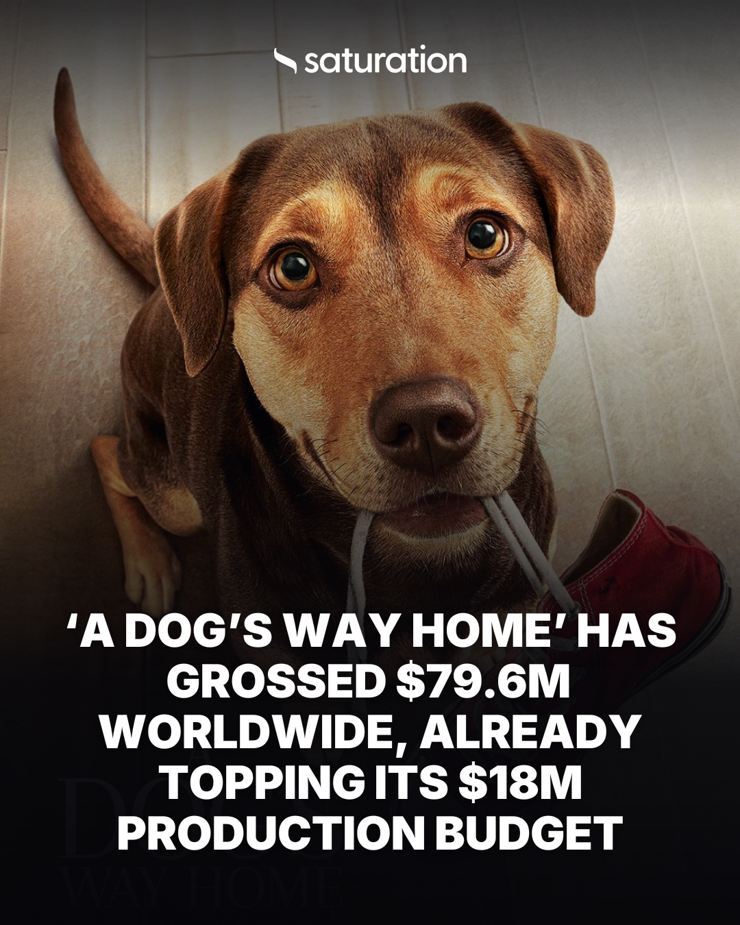A Dog’s Way Home share card