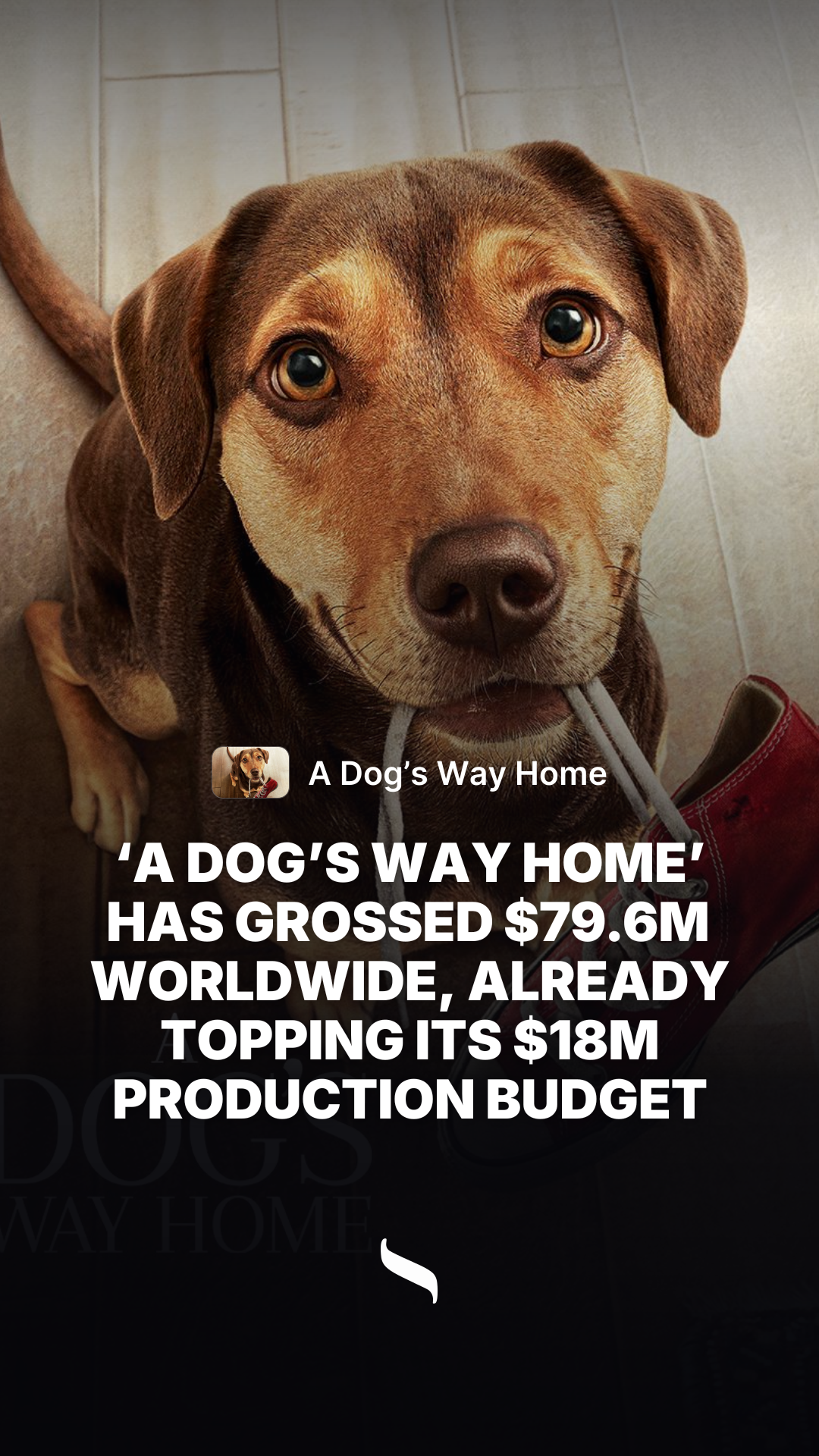 A Dog’s Way Home share card