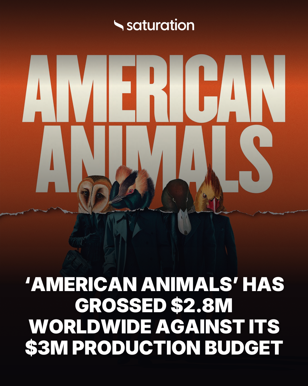 American Animals share card