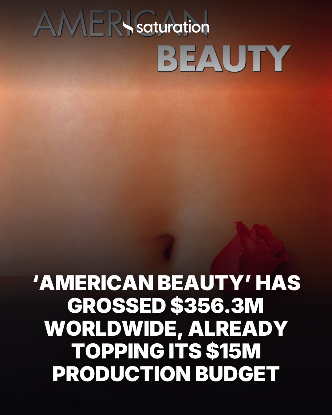 American Beauty share card