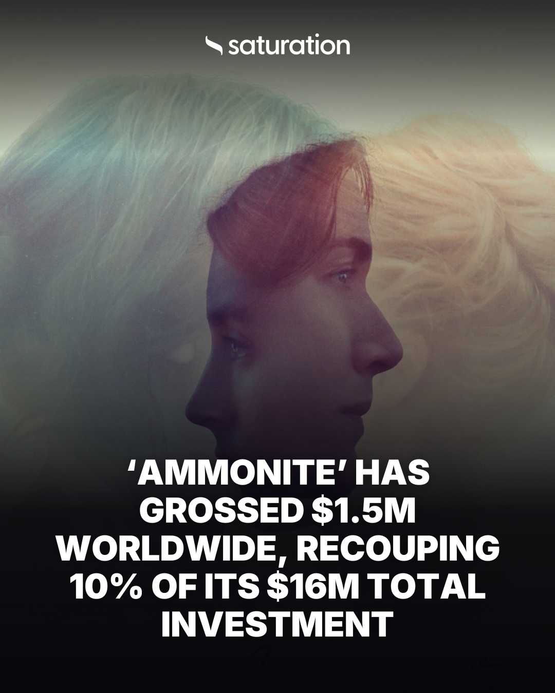 Ammonite share card