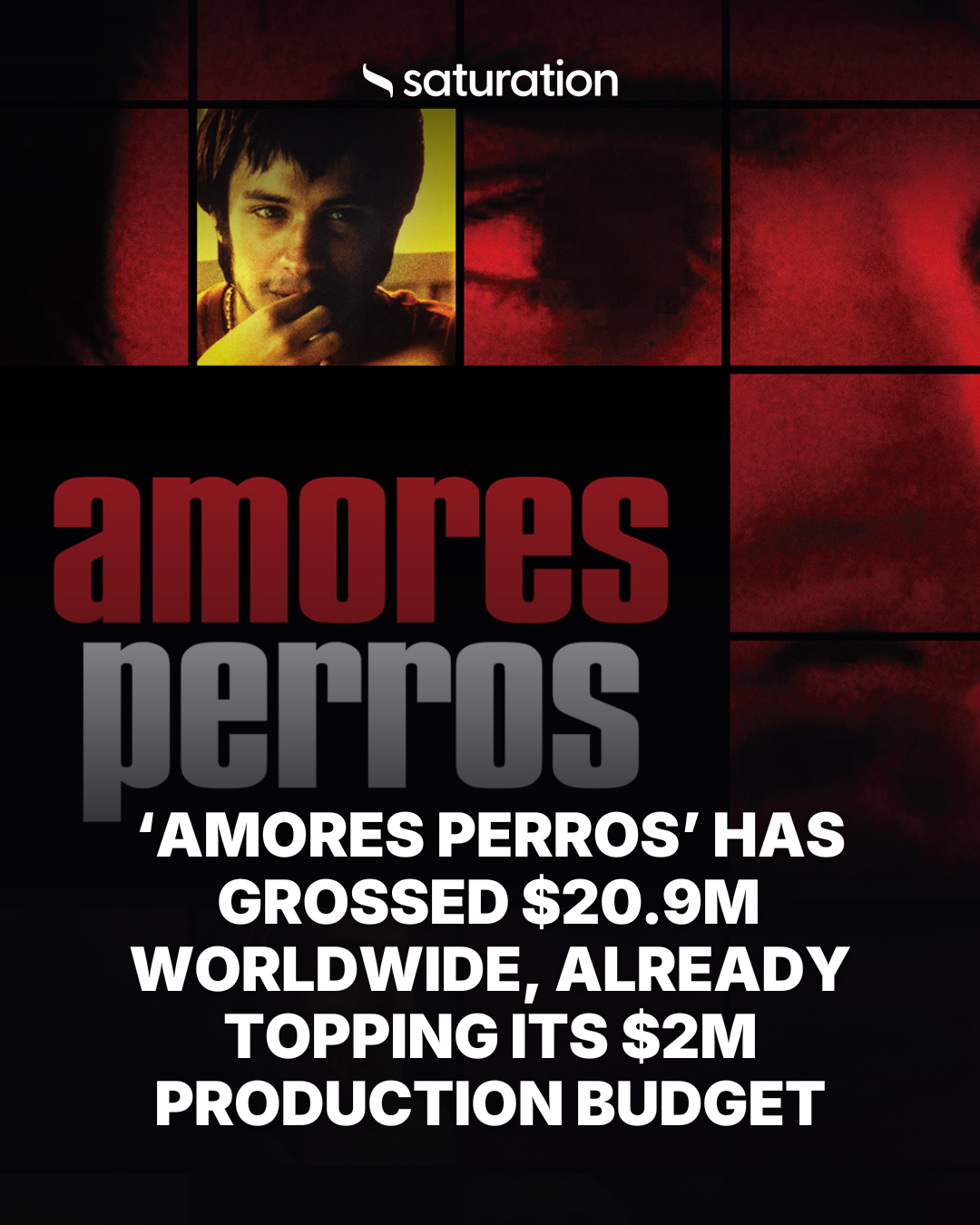 Amores Perros share card