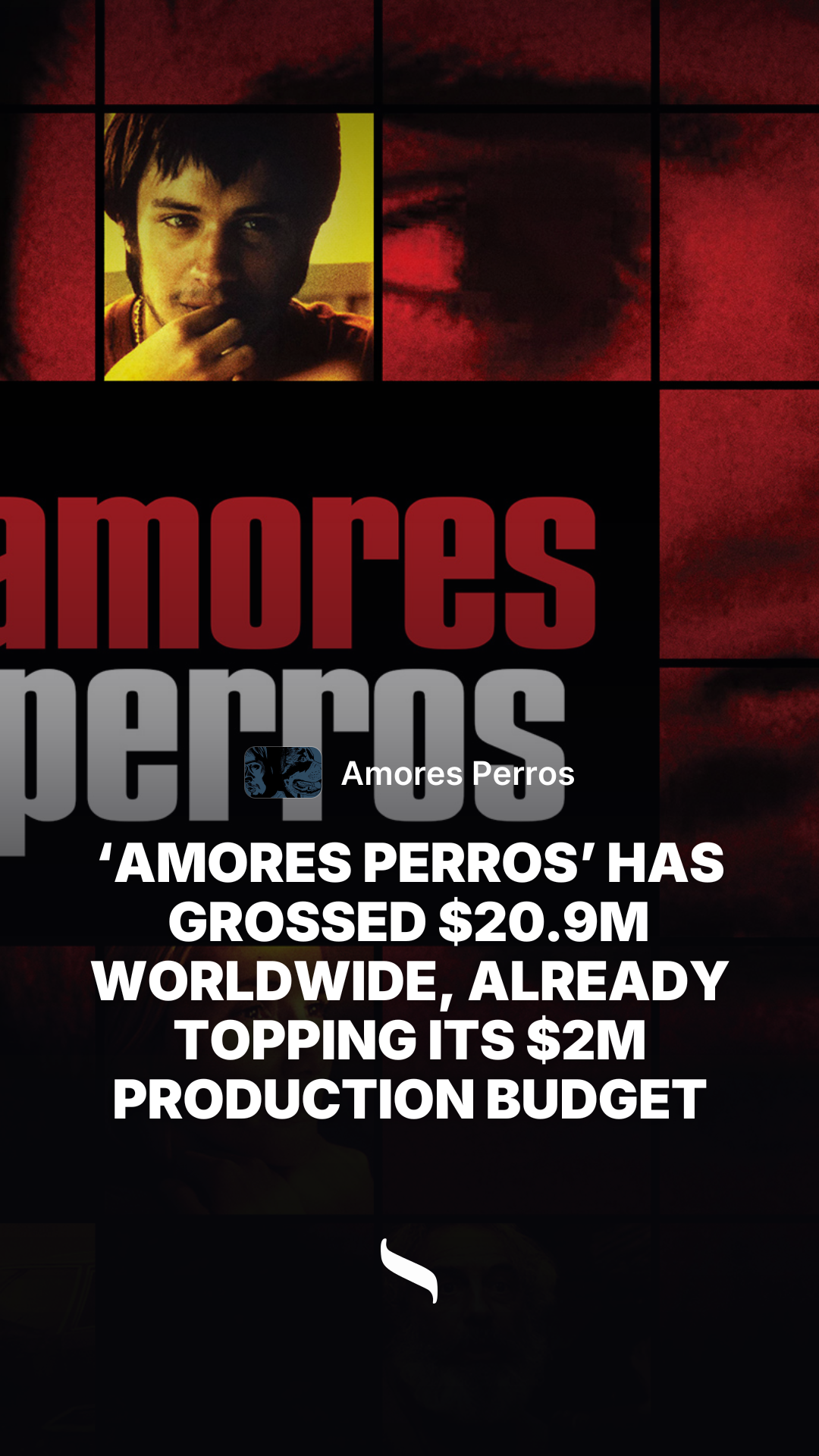Amores Perros share card