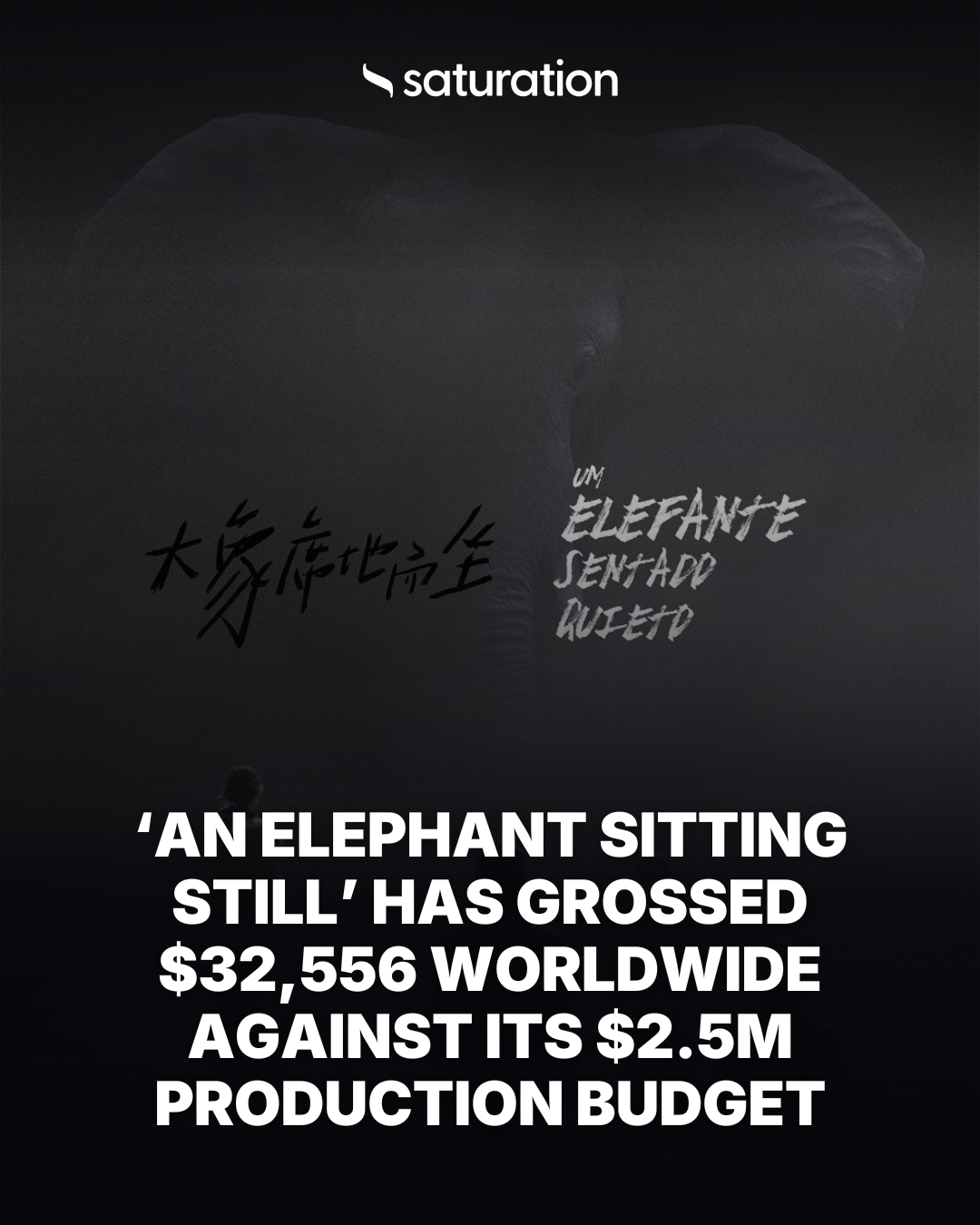 An Elephant Sitting Still share card