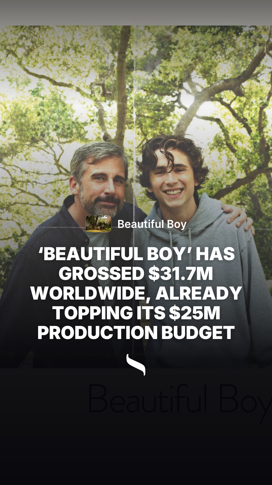 Beautiful Boy share card