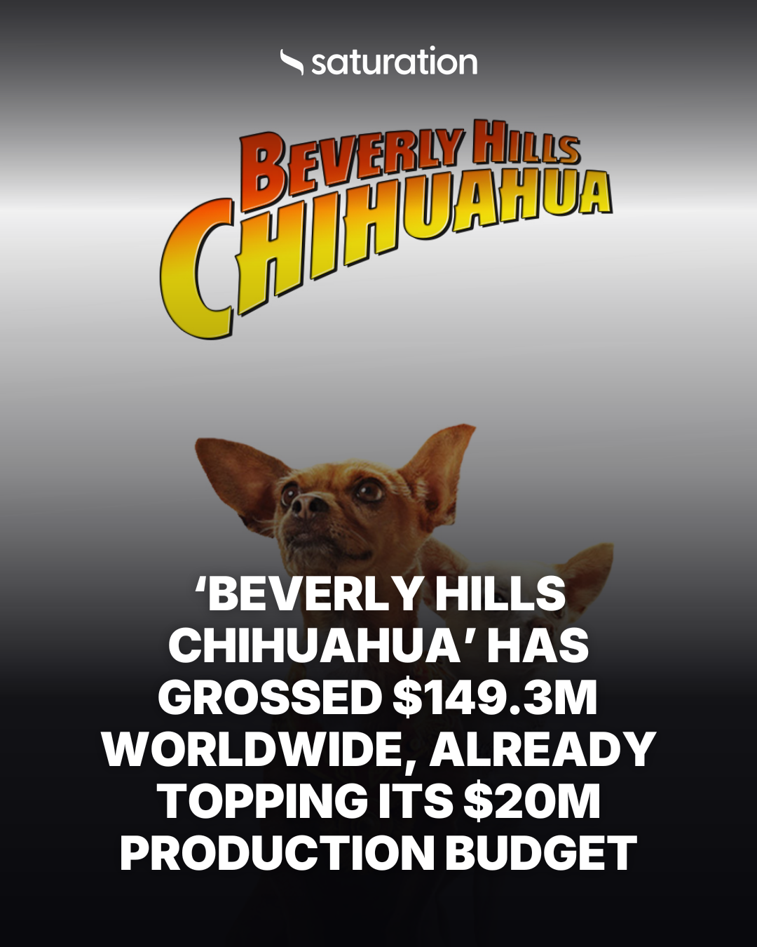 Beverly Hills Chihuahua share card