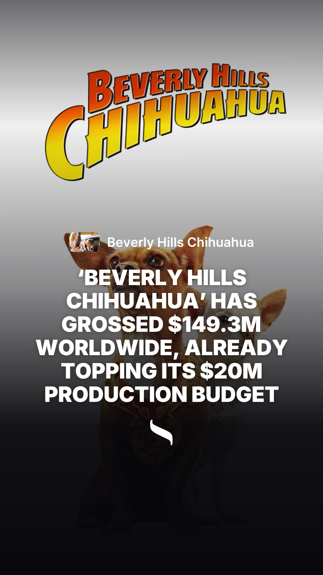 Beverly Hills Chihuahua share card