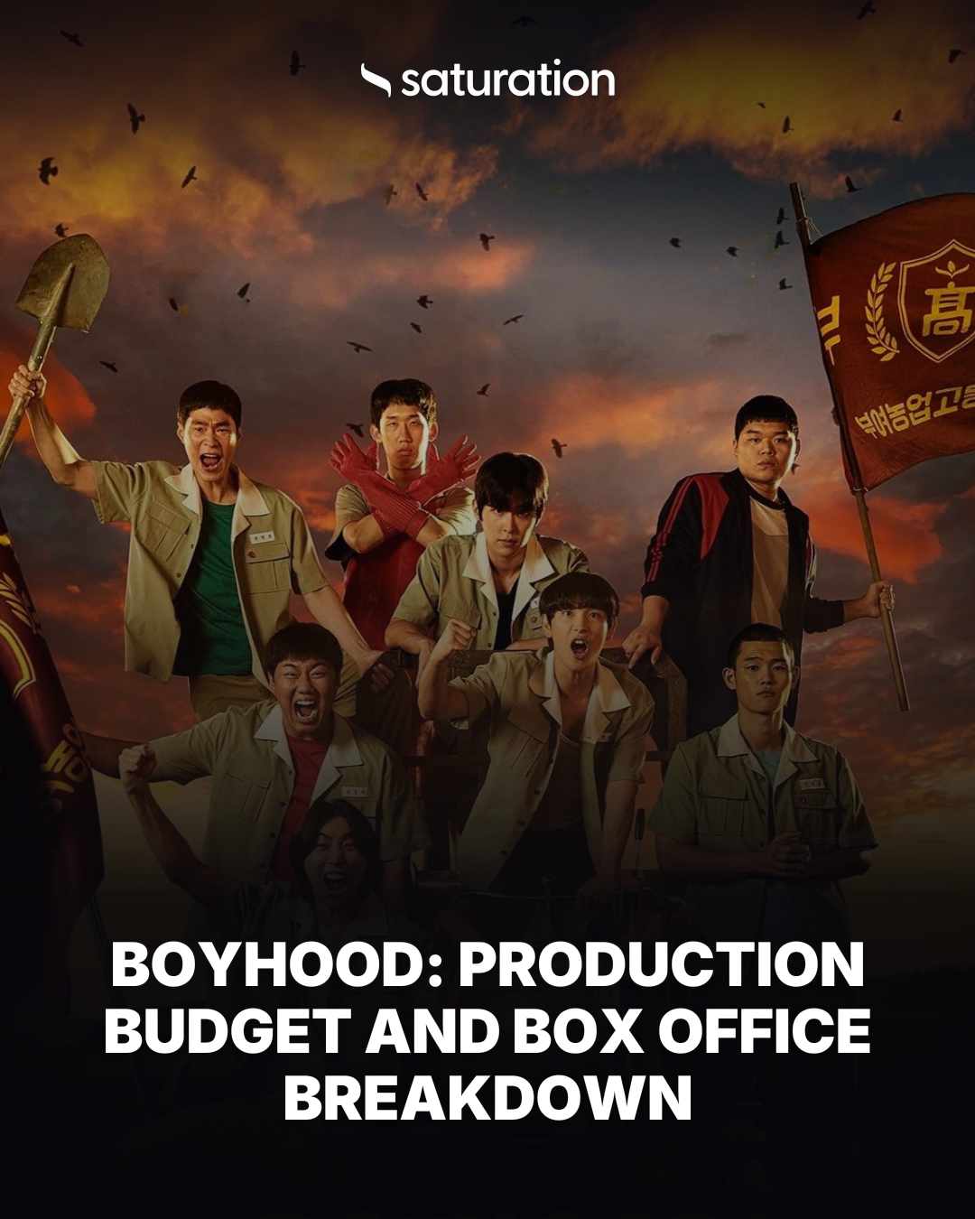 Boyhood share card