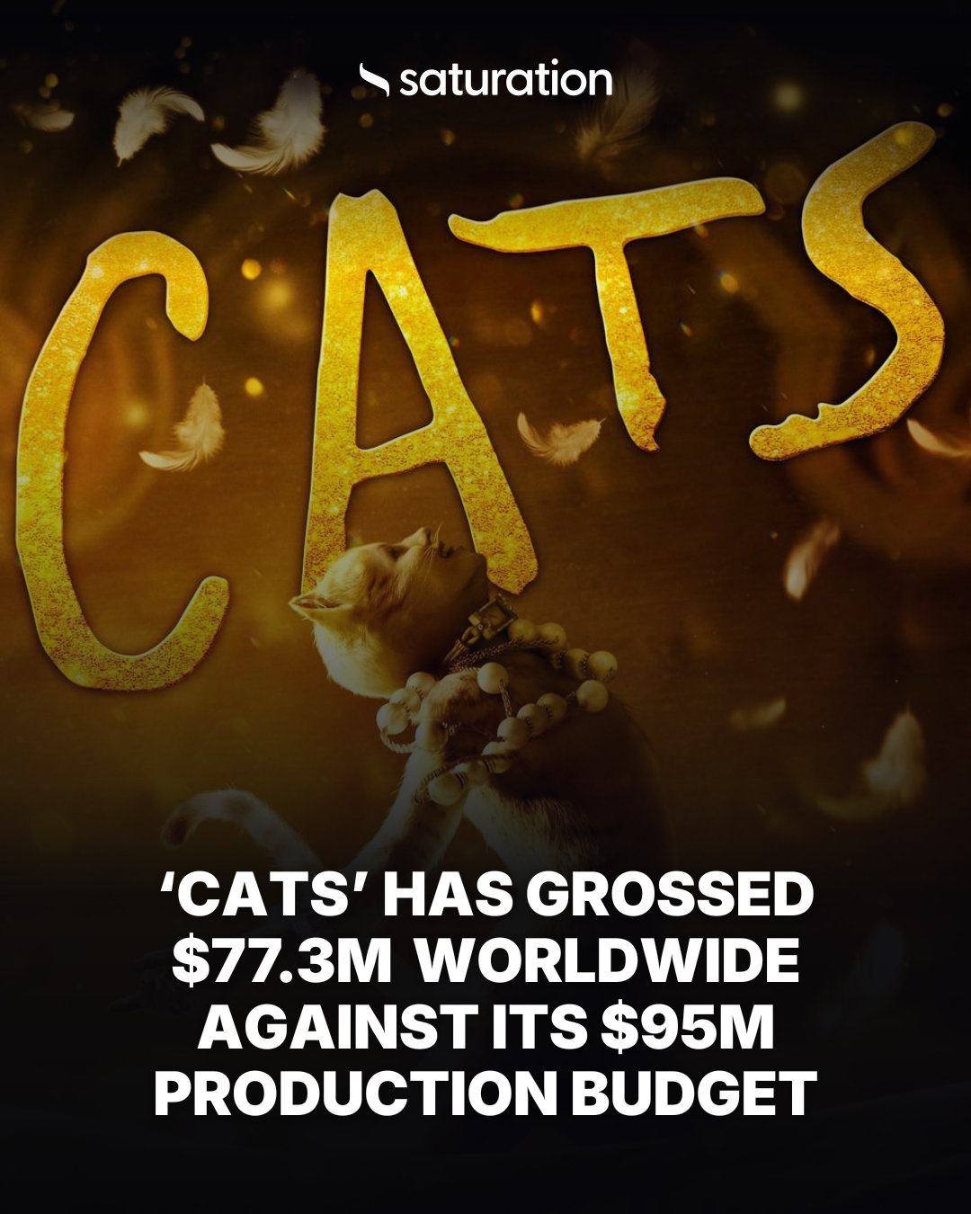 Cats share card