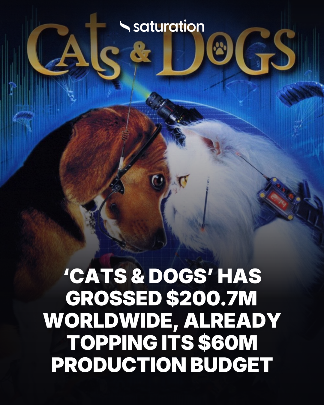 Cats & Dogs share card