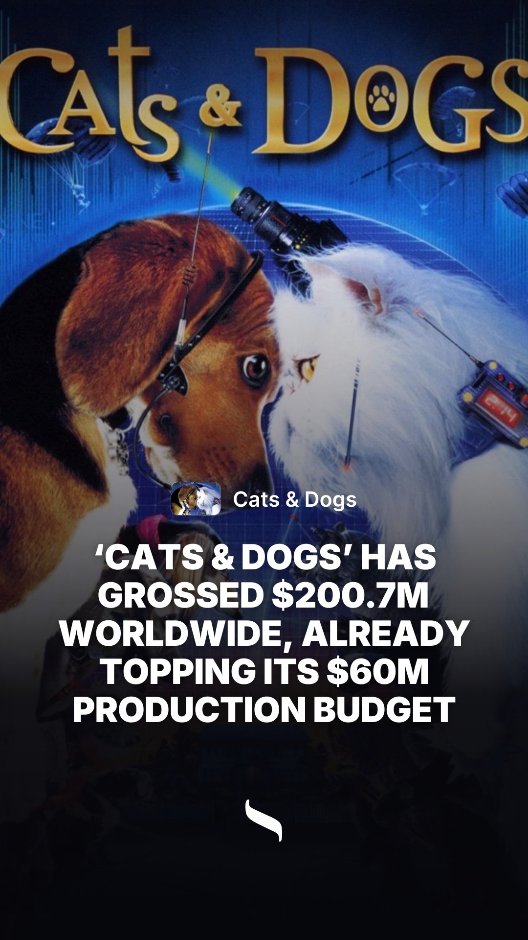 Cats & Dogs share card
