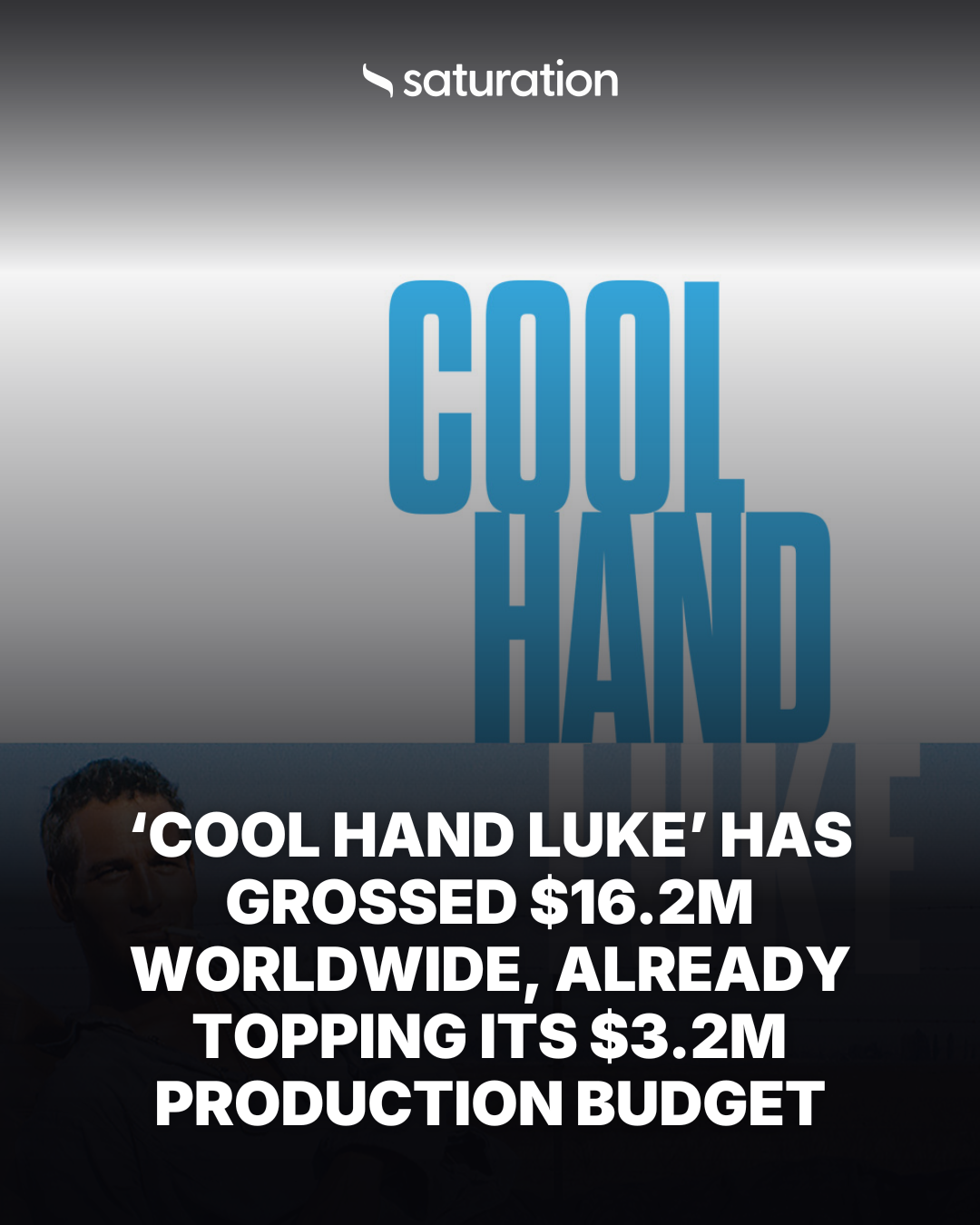 Cool Hand Luke share card