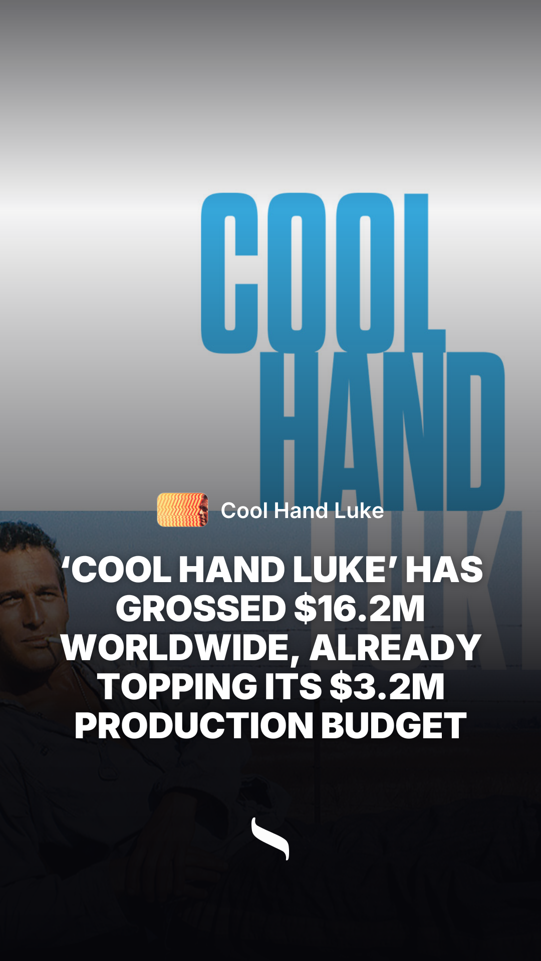 Cool Hand Luke share card