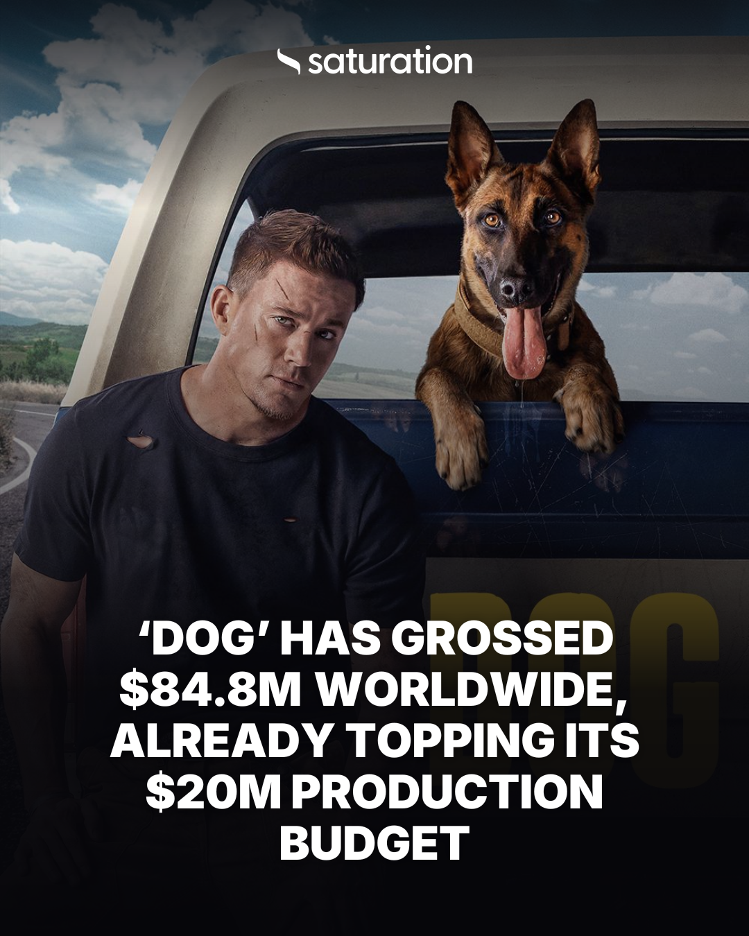 Dog share card