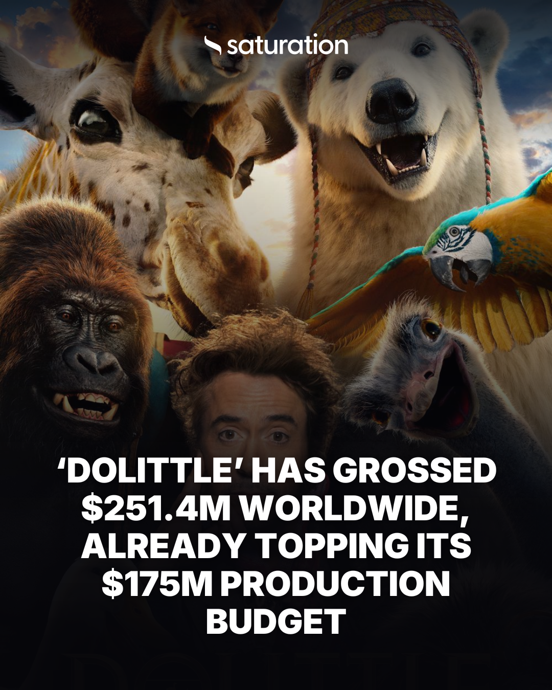 Dolittle share card