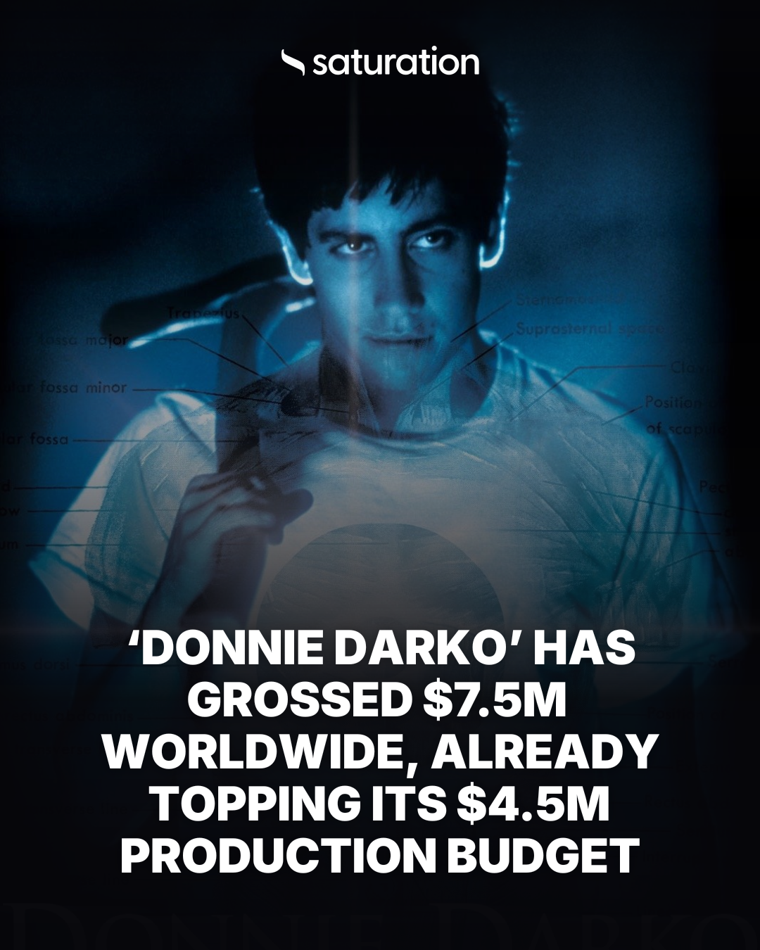 Donnie Darko share card