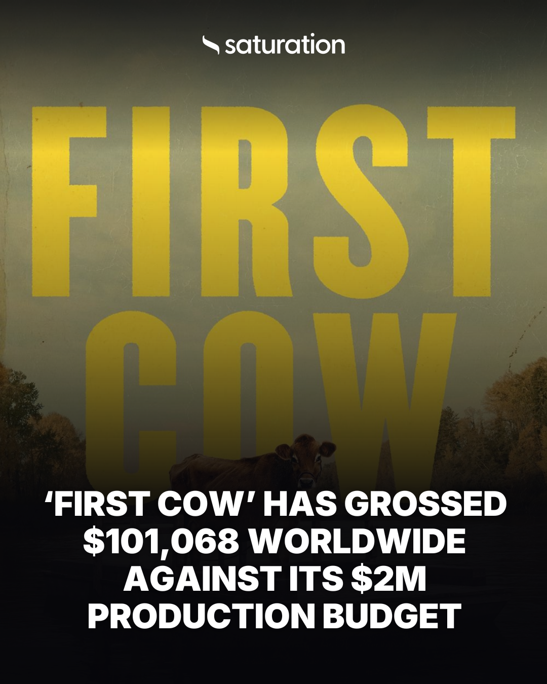 First Cow share card