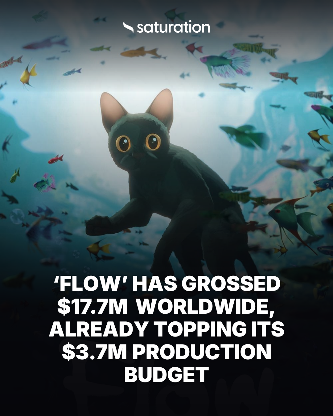 Flow share card