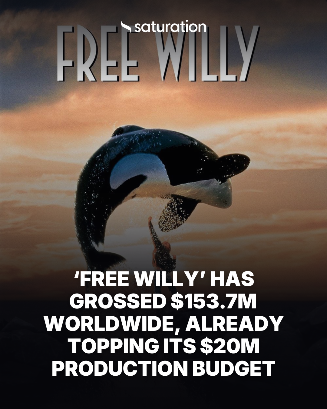 Free Willy share card