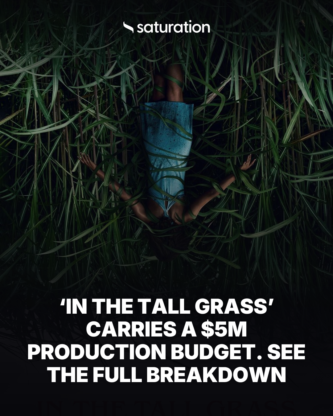 In the Tall Grass share card