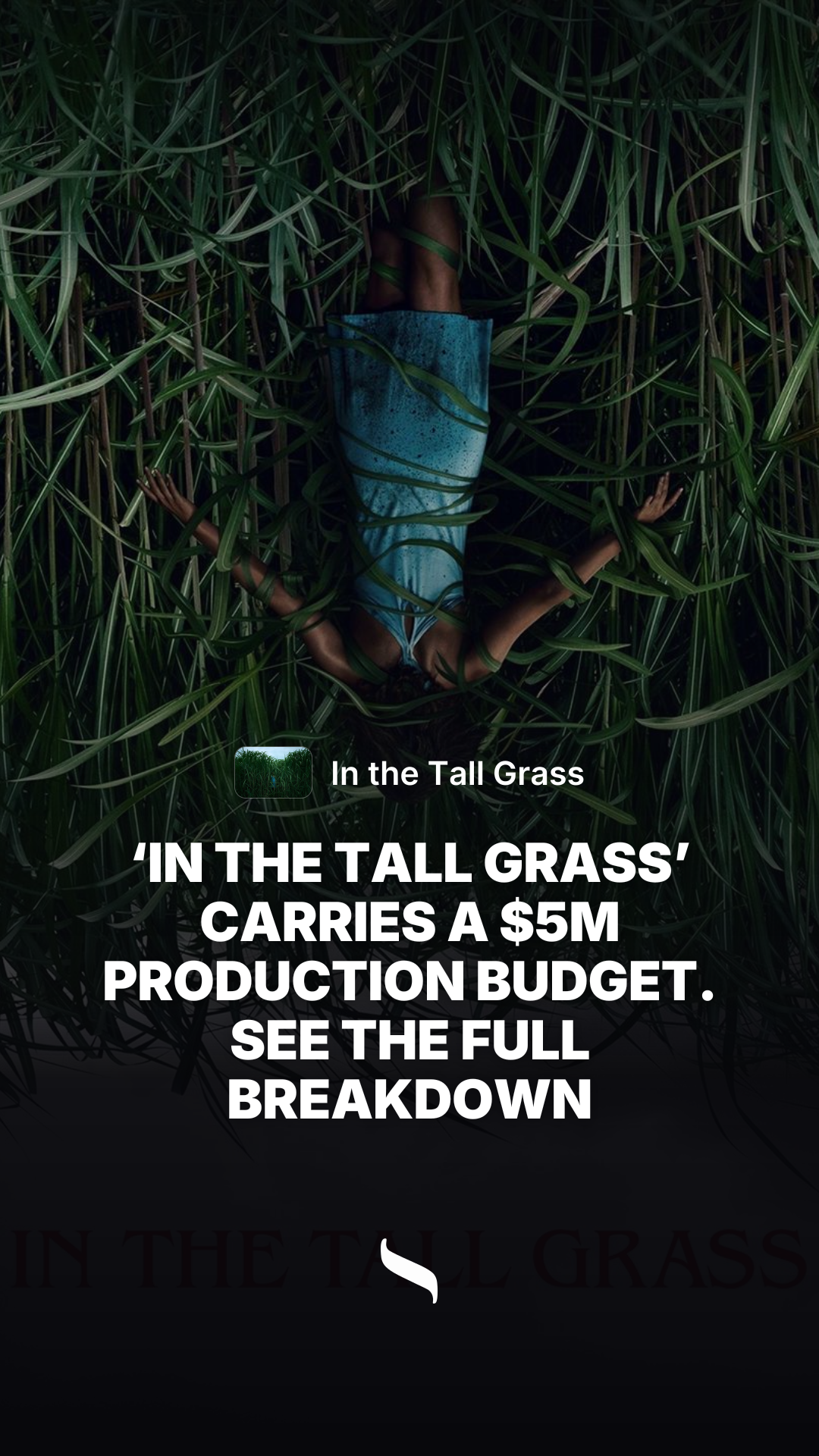 In the Tall Grass share card