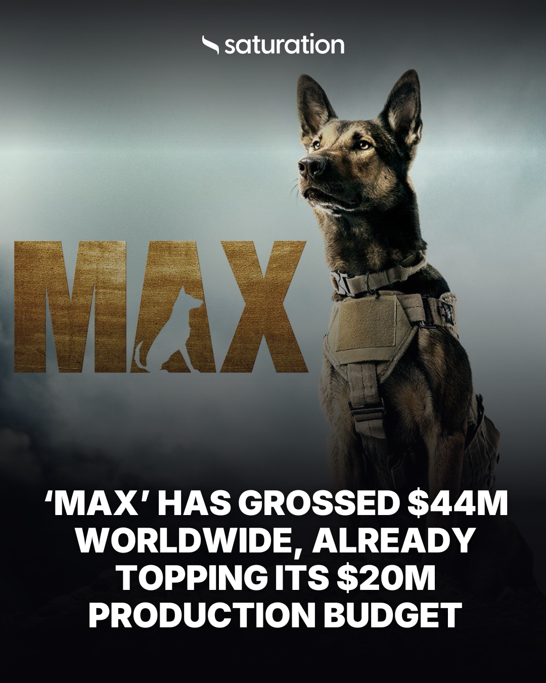 Max share card