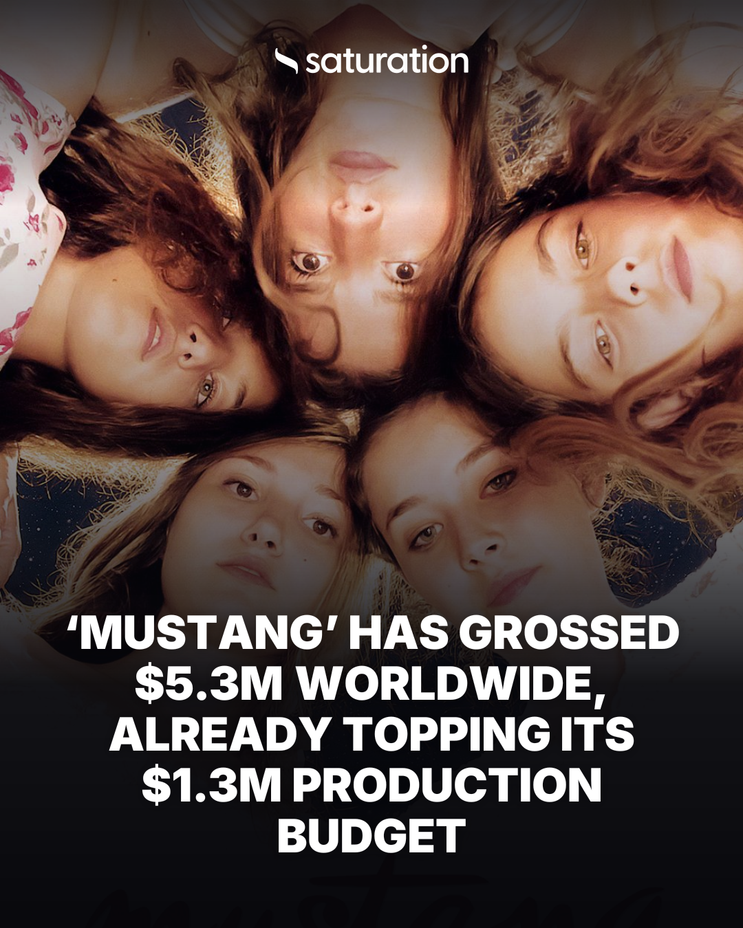 Mustang share card