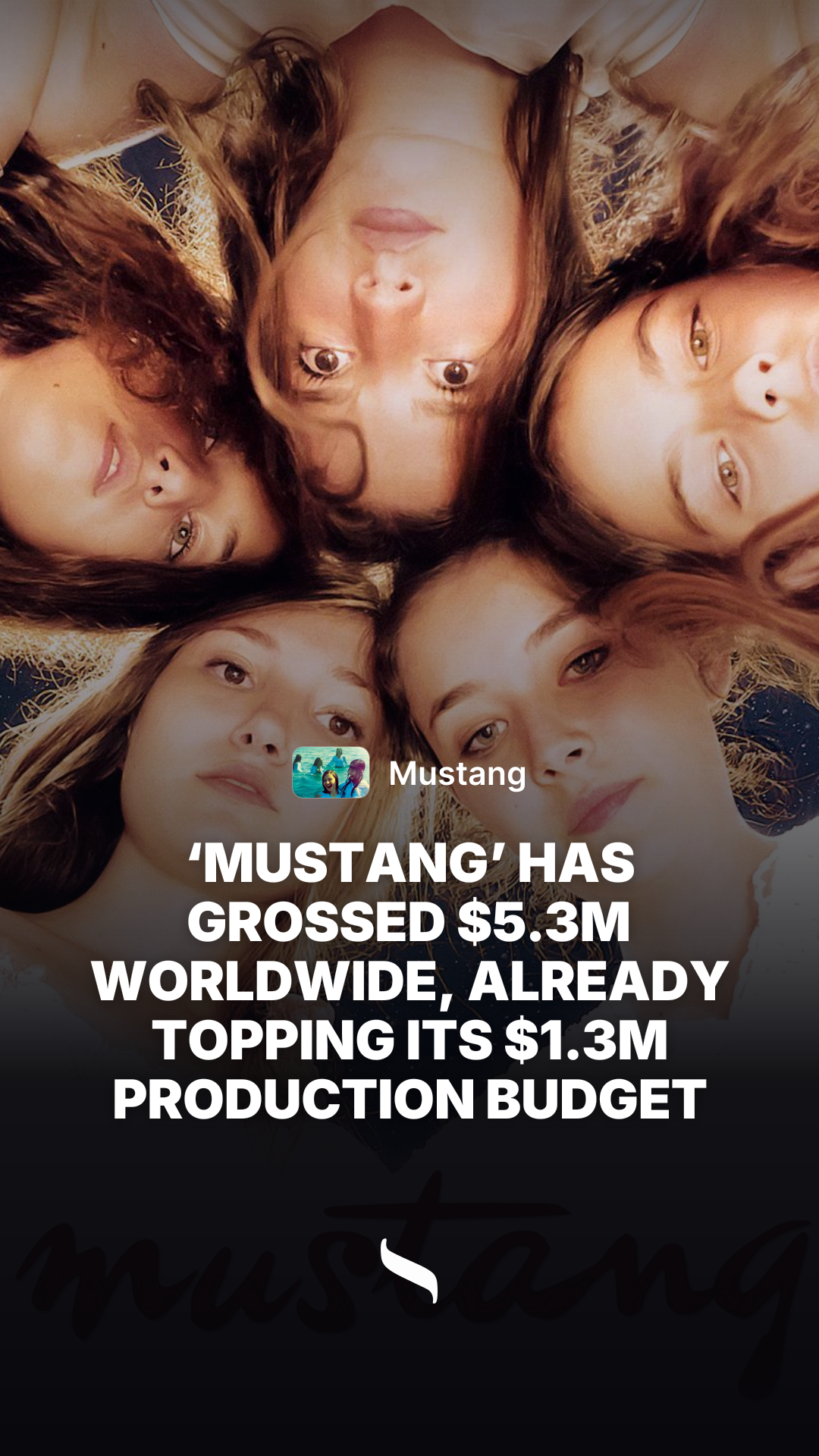 Mustang share card