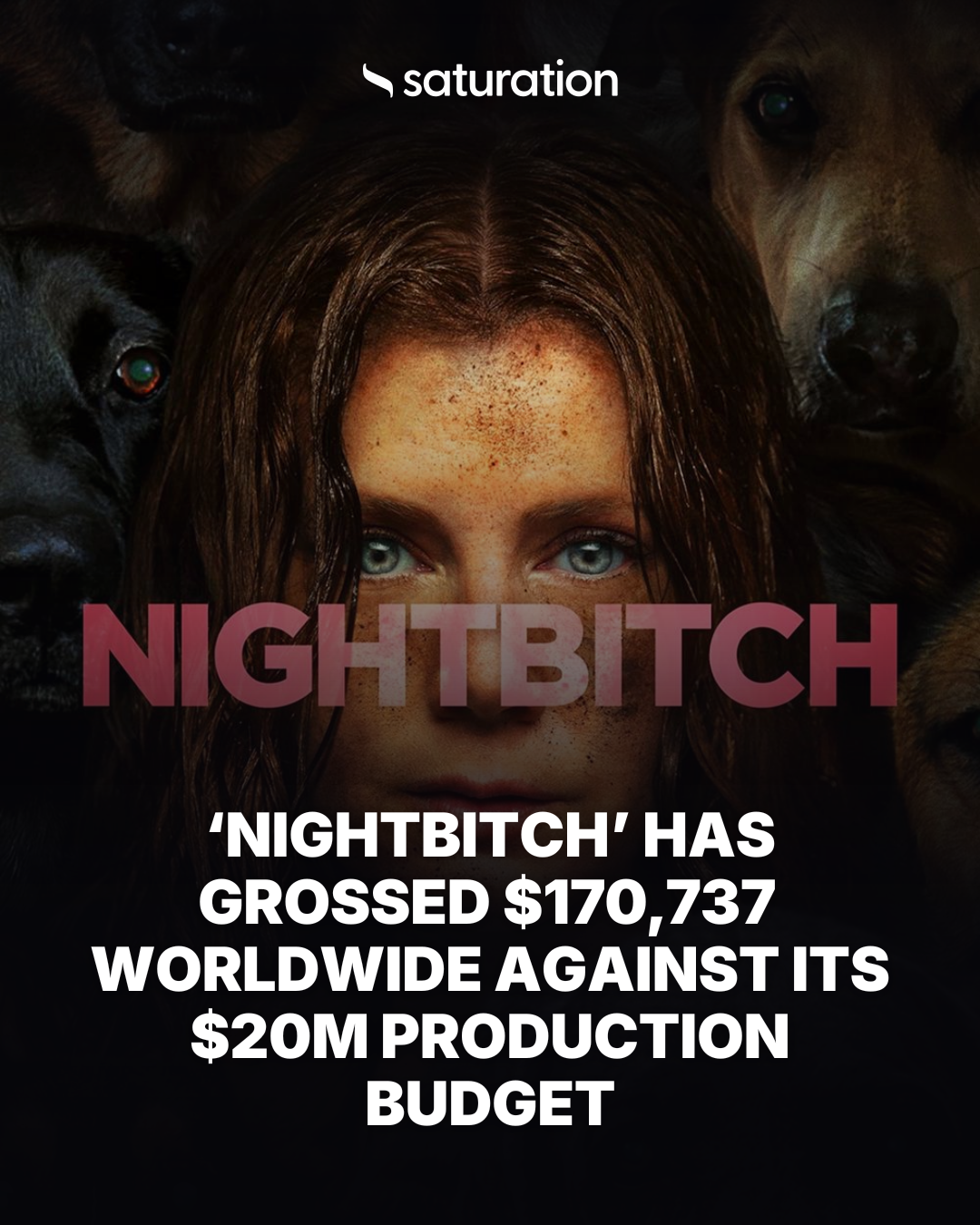 Nightbitch share card