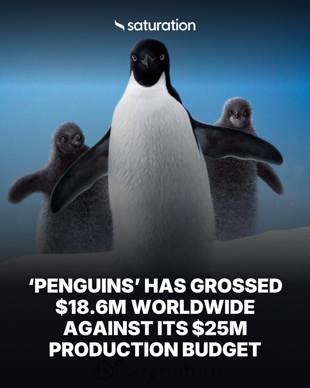 Penguins share card