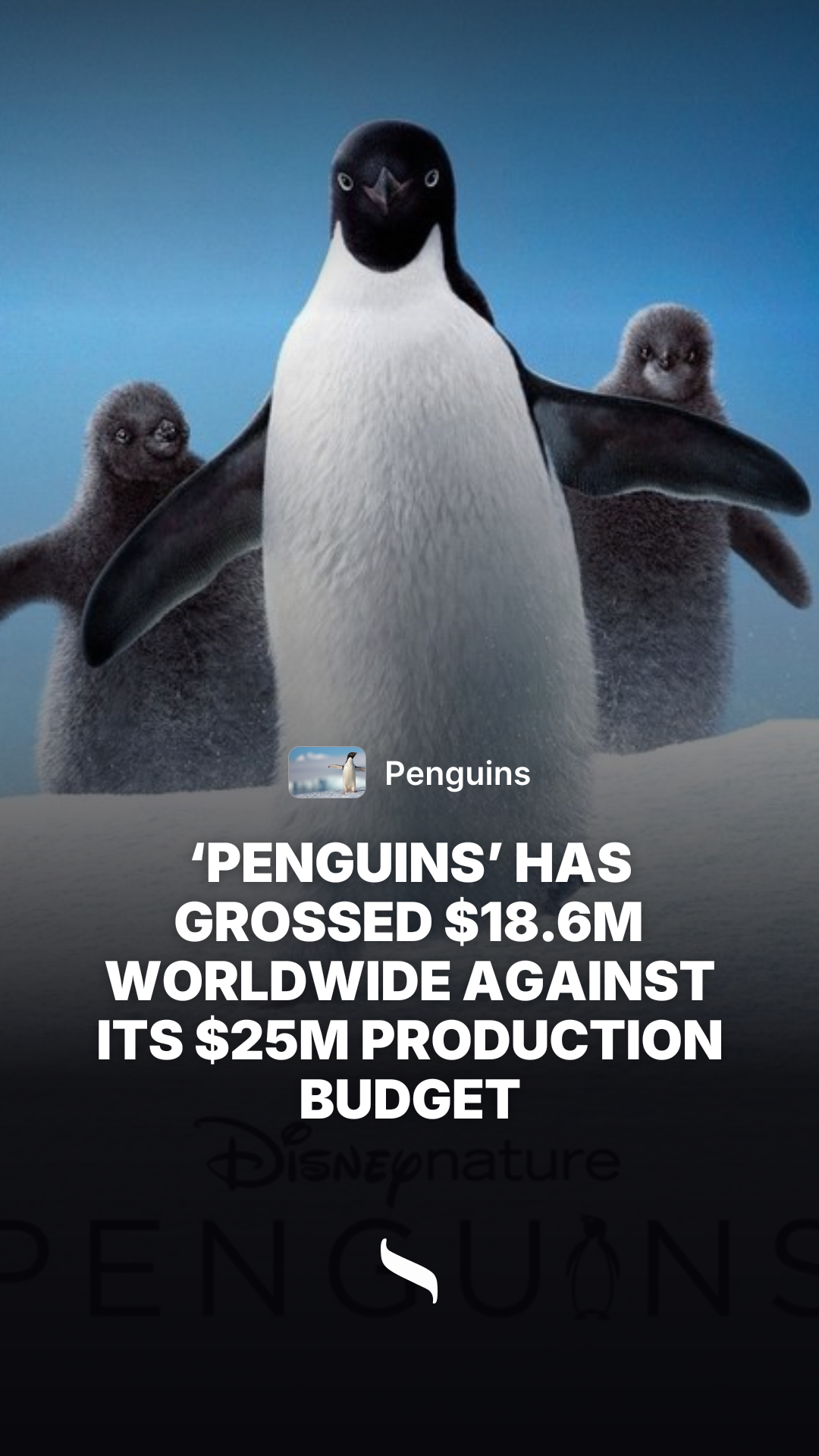 Penguins share card