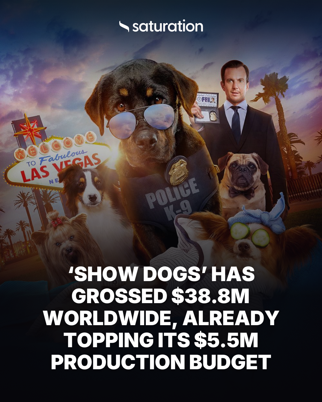 Show Dogs share card