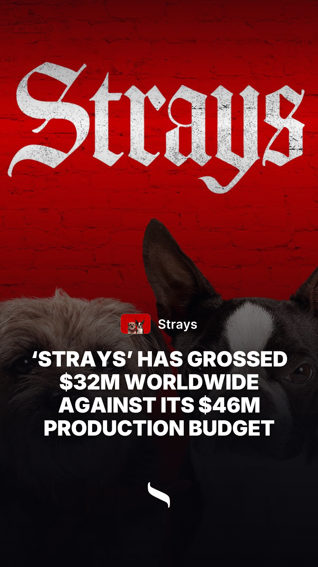 Strays share card