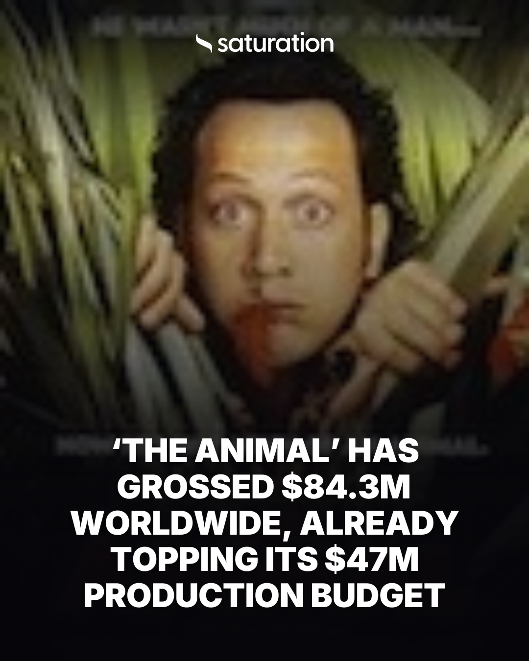 The Animal (2001) share card