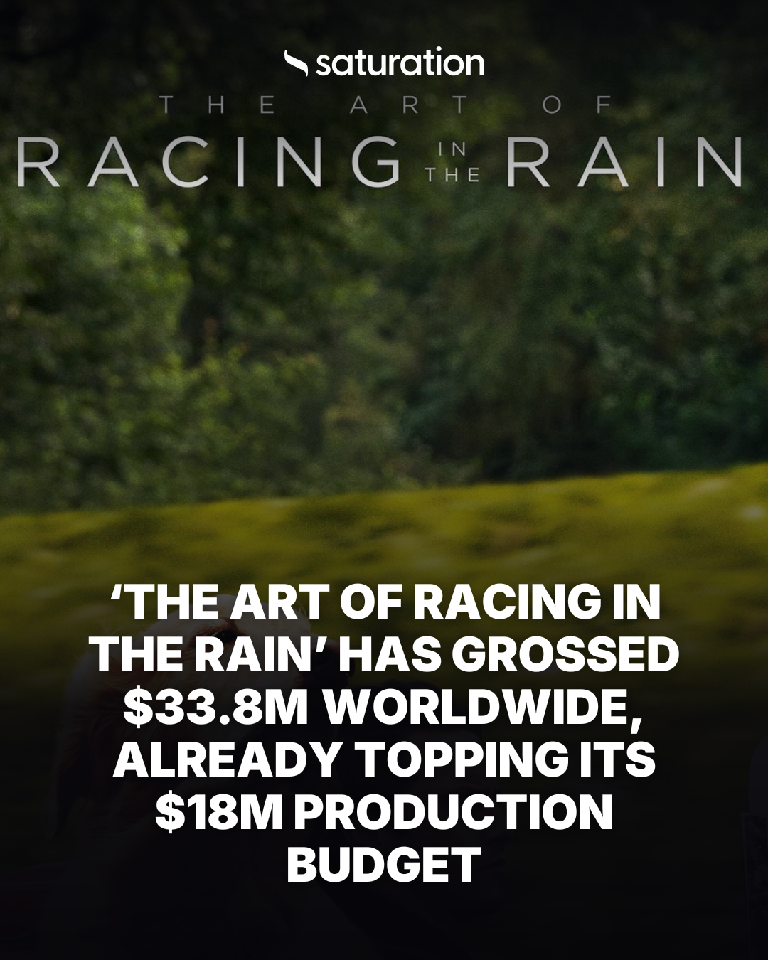 The Art of Racing in the Rain share card