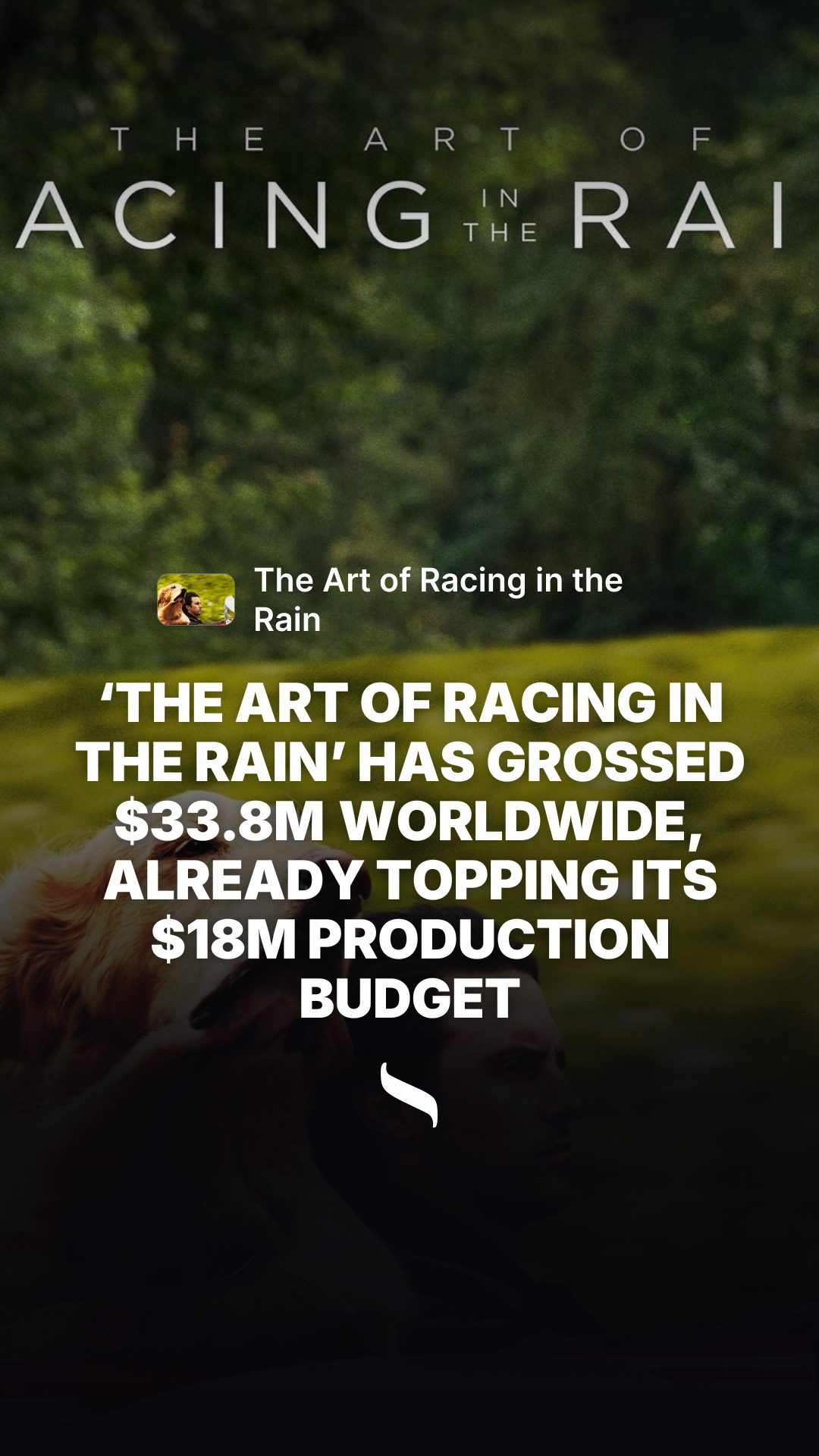 The Art of Racing in the Rain share card