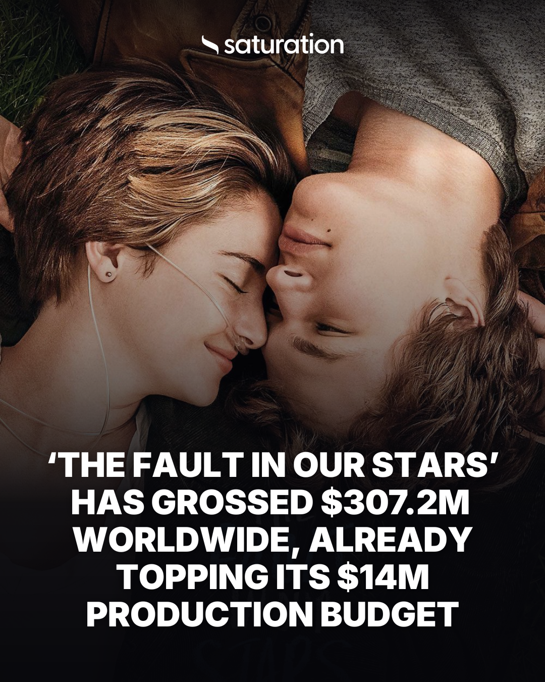 The Fault in Our Stars share card