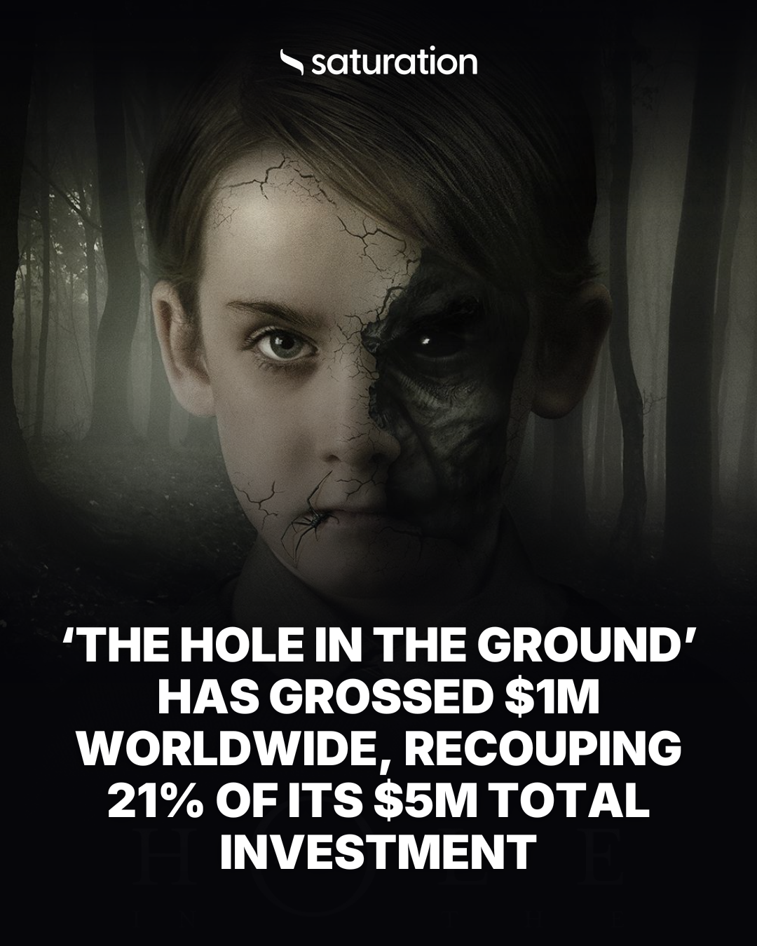 The Hole in the Ground share card