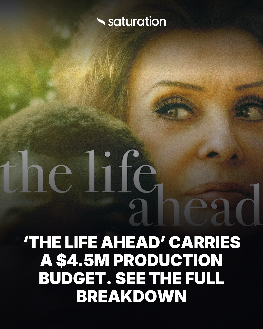 The Life Ahead share card