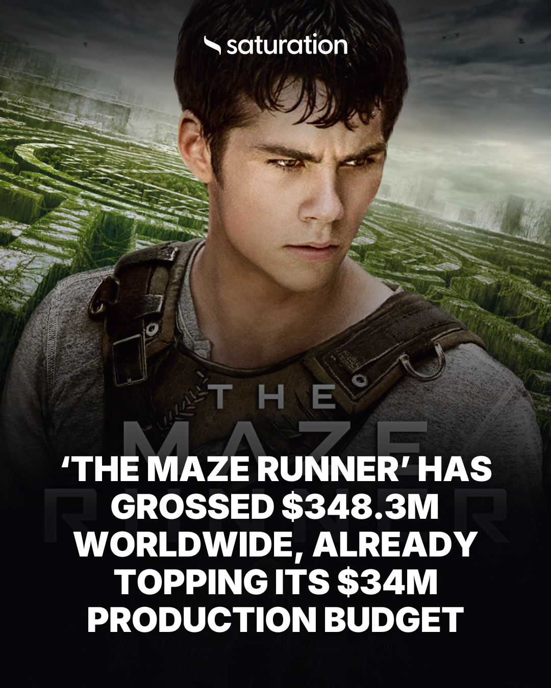 The Maze Runner share card