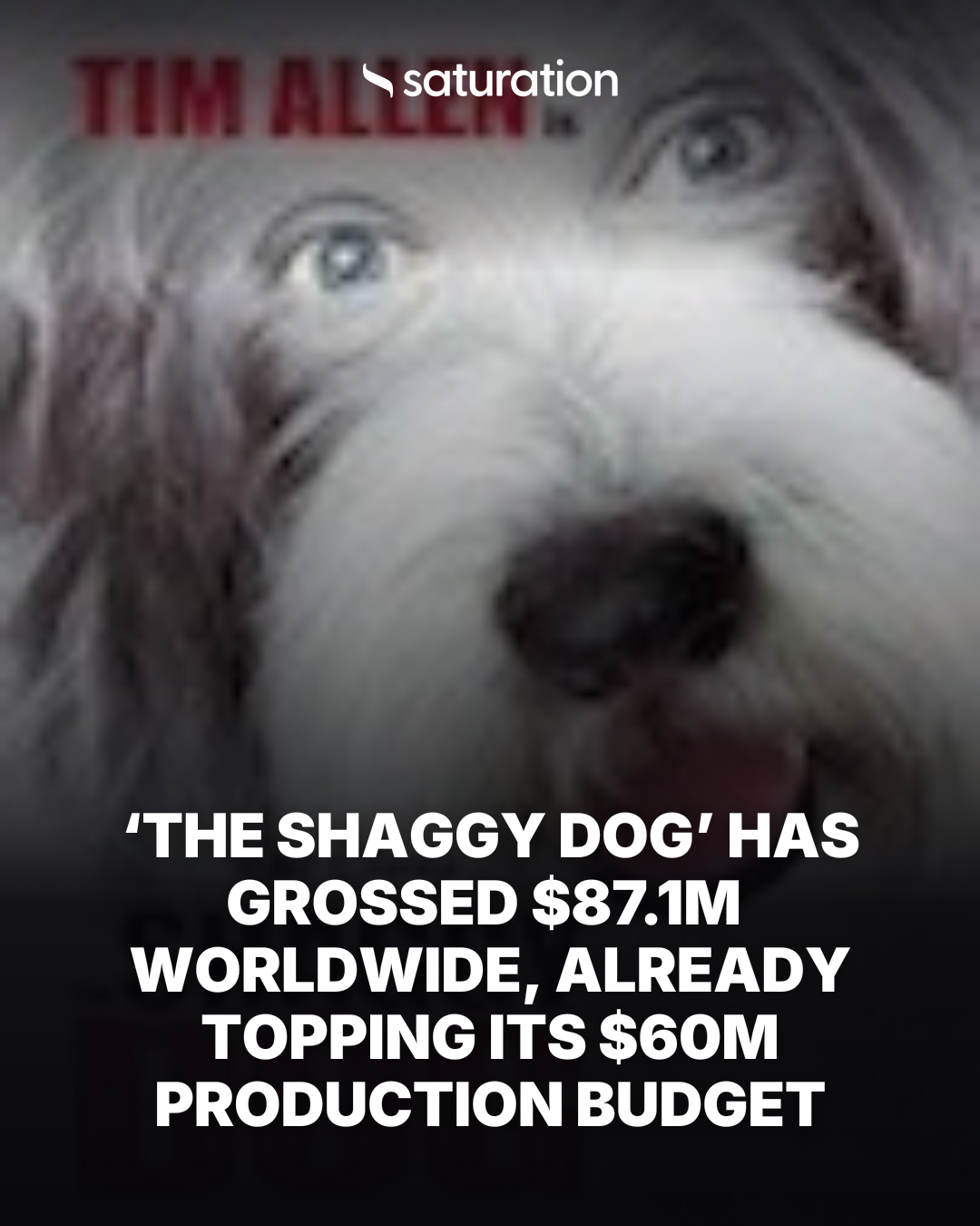 The Shaggy Dog share card