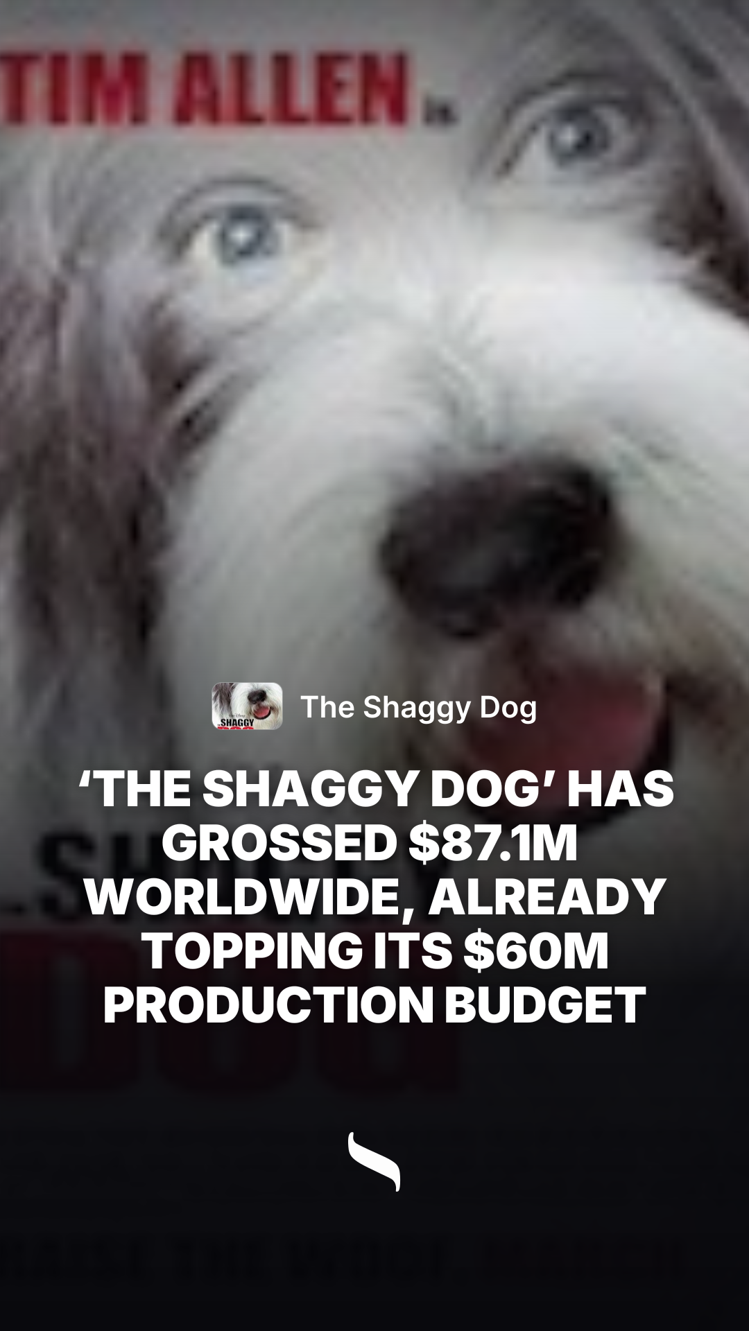 The Shaggy Dog share card