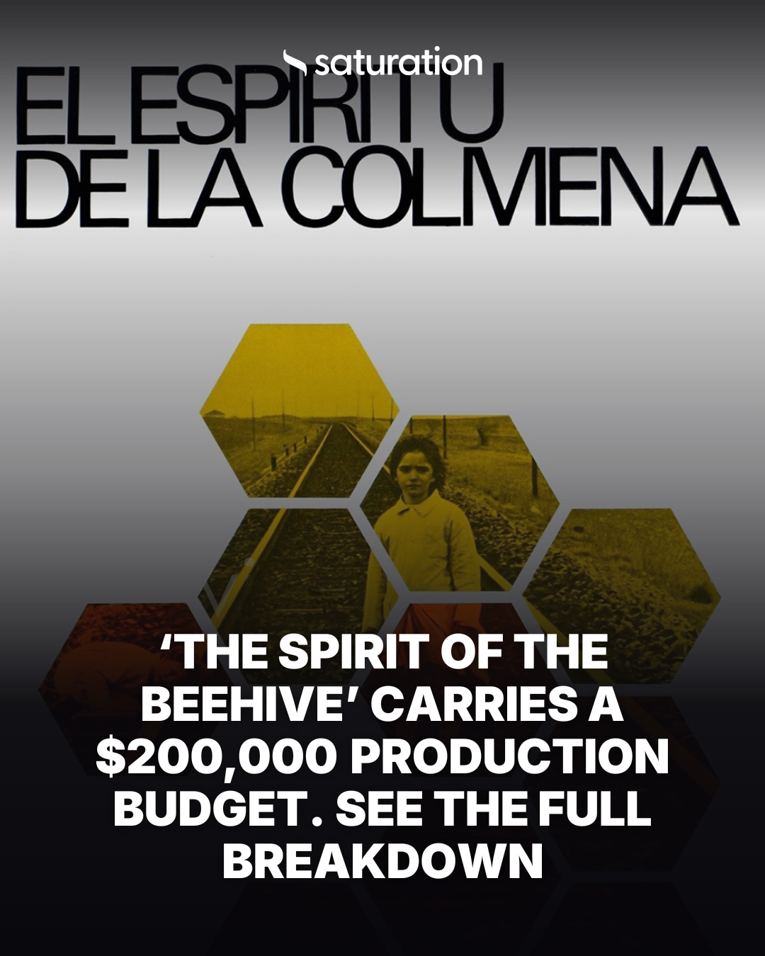 The Spirit of the Beehive share card