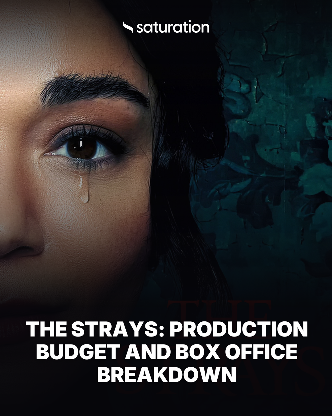 The Strays share card