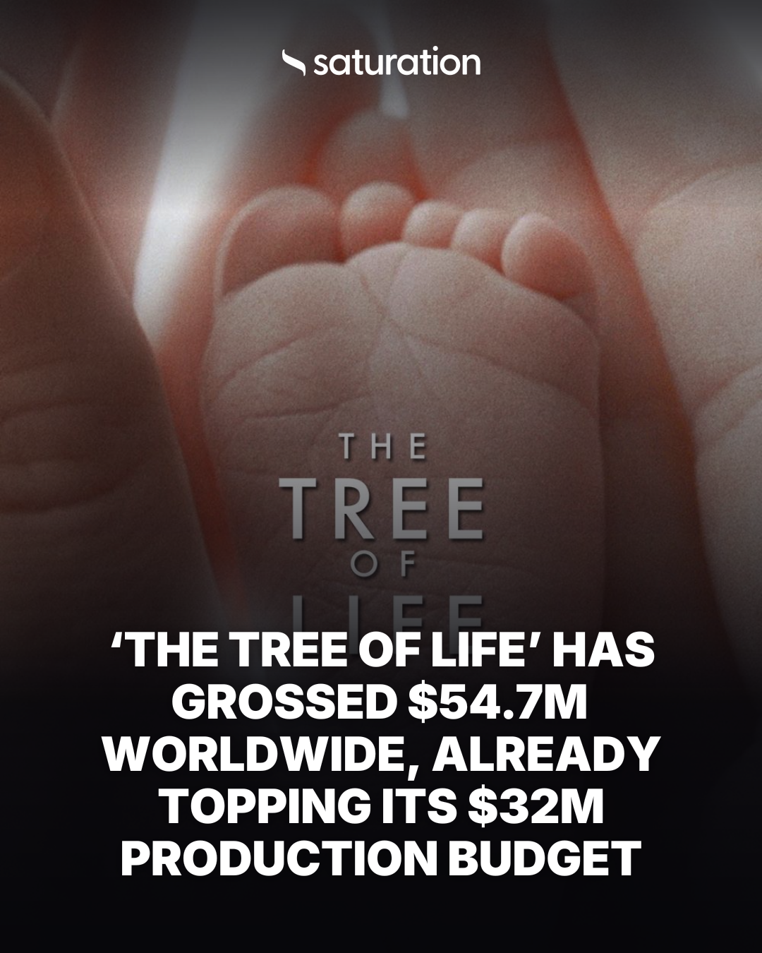 The Tree of Life share card