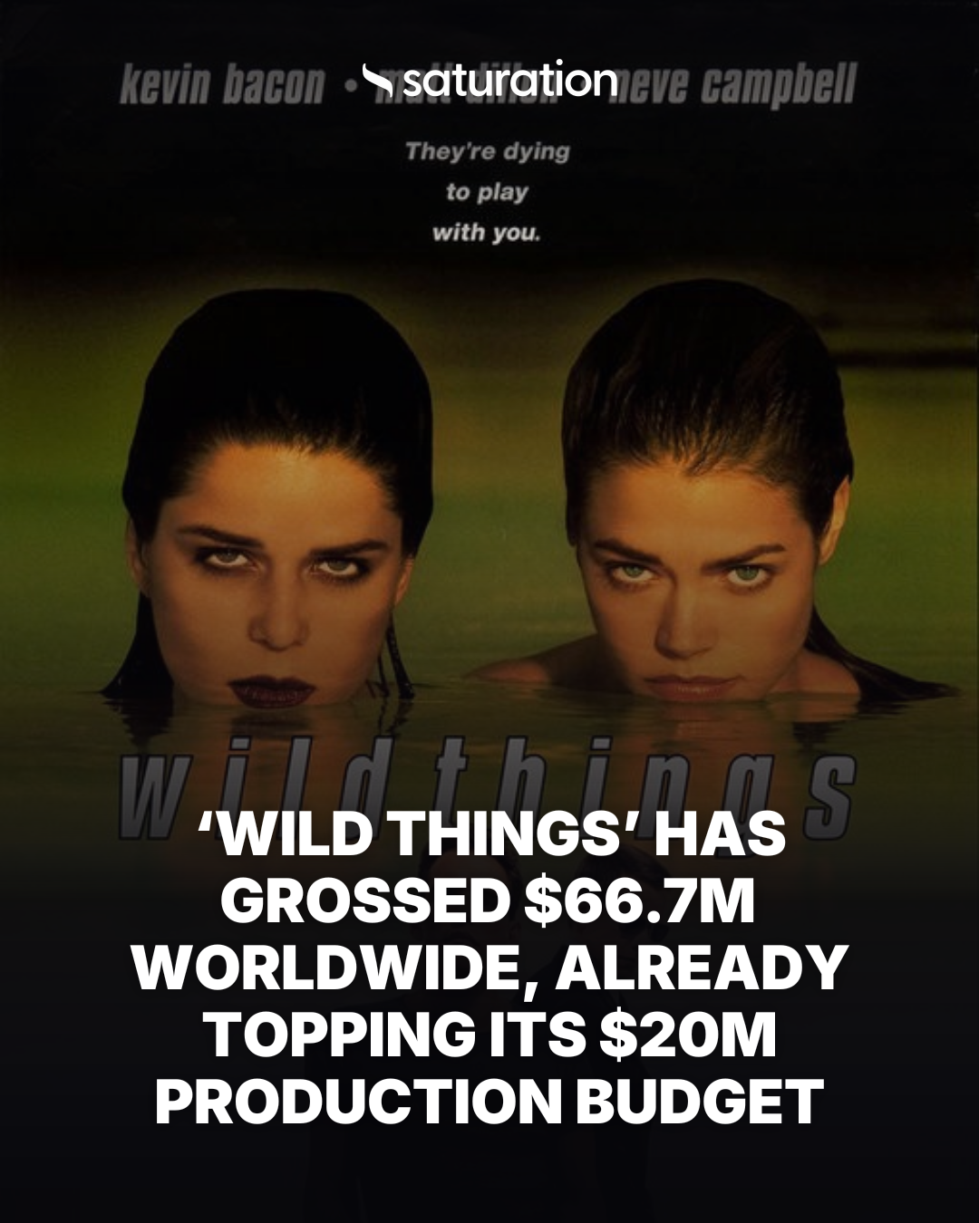 Wild Things (1998) share card