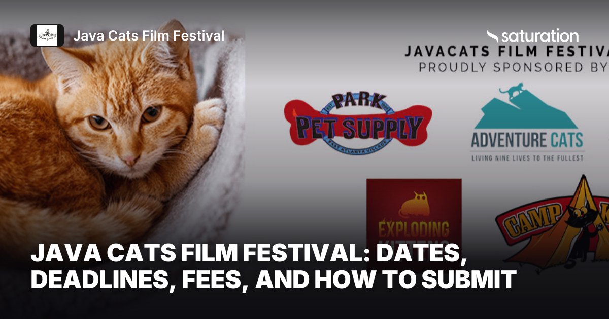 Java Cats Film Festival share card
